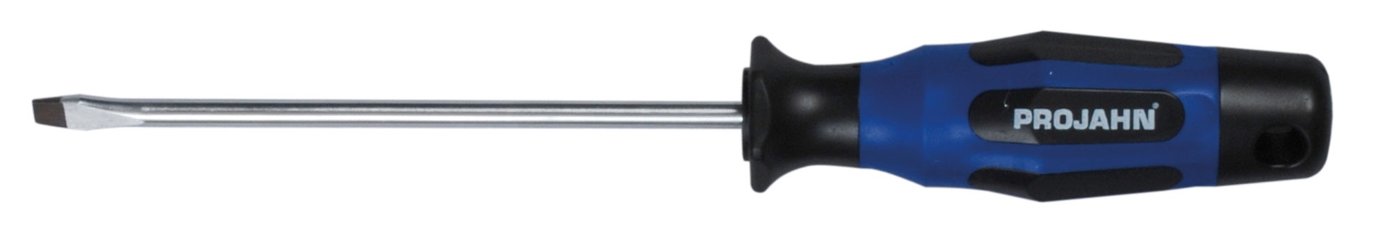 Screwdriver for slotted bits
