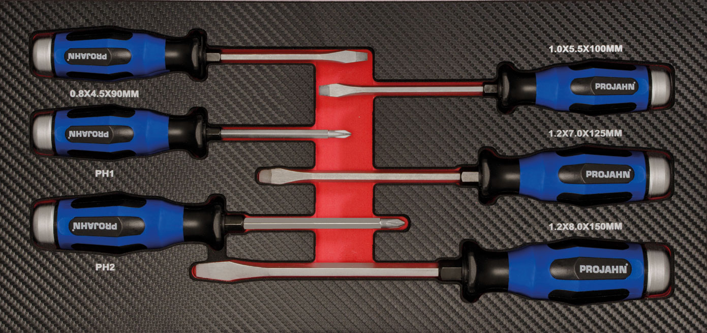 PROForm inlay system Phillips and slotted go-through blade screwdriver with hammering cap 6 pcs.